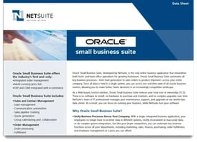 Oracle Netsuite Pricing for Small Business