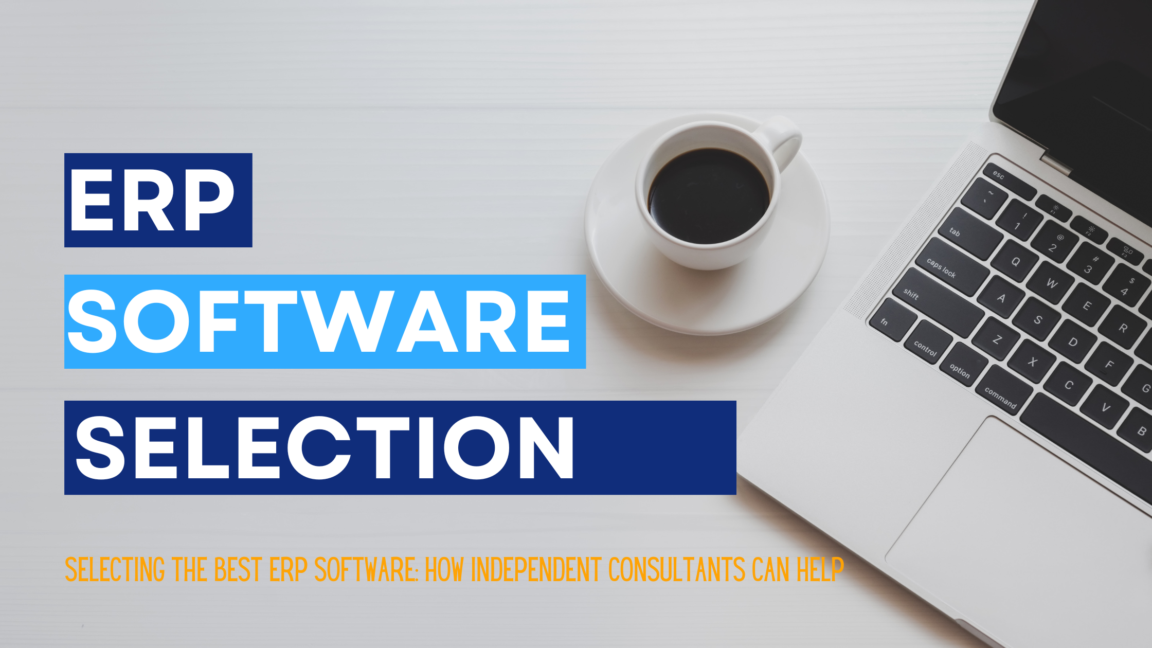 ERP Selection Consultants
